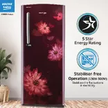 RDC220A/W0DWETMH000GD 185 L 5 Star Direct Cool Single Door Refrigerator