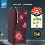 RDC220A/W0DWETMH000GD 185 L 5 Star Direct Cool Single Door Refrigerator