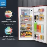 RDC220A/W0DWETMH000GD 185 L 5 Star Direct Cool Single Door Refrigerator