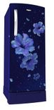 215 Icemagic Royal 4S 200 Ltr Single Door Refrigerator