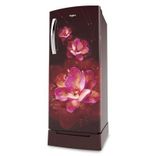 260 Impro Roy 4S 245 Ltr Single Door Refrigerator