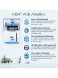 Ace Alkaline 116131
