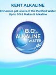 Elegant Alkaline
