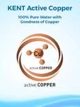 Elegant Copper
