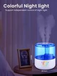 3L Humidifier