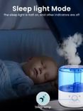 3L Humidifier