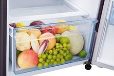 RT34T46324R 314 Ltr Double Door Refrigerator