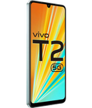 T2