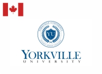 Partnership Logo