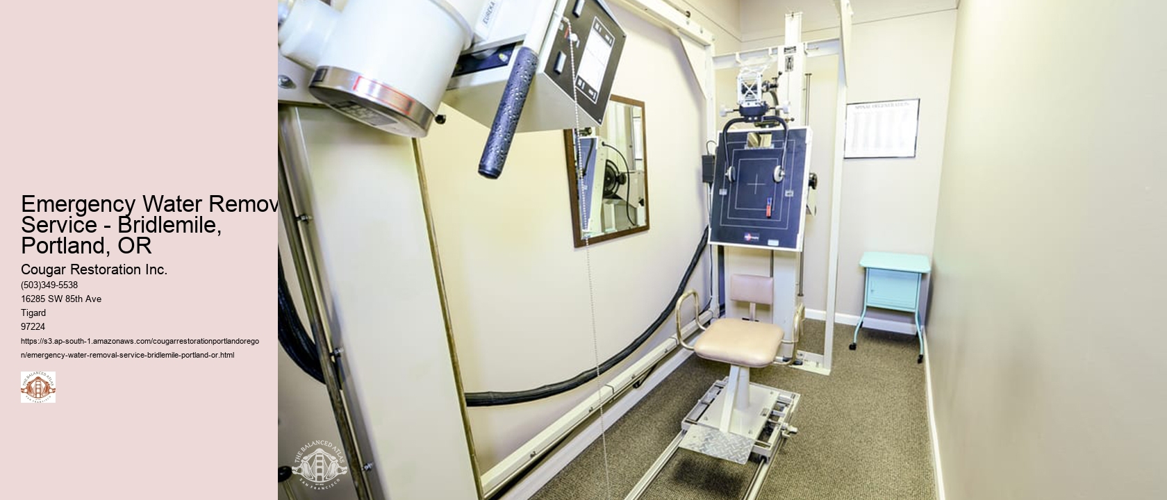 Emergency Water Removal Service - Bridlemile, Portland, OR