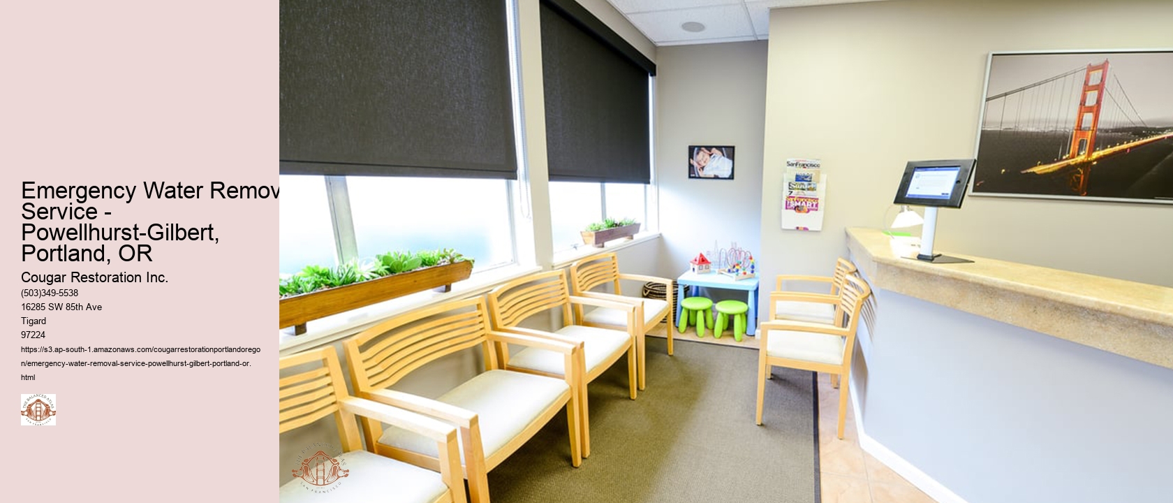 Emergency Water Removal Service - Powellhurst-Gilbert, Portland, OR