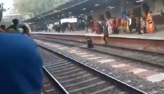 लड़की के ऊपर से ट्रेन गुजरने पर भी निकली जिंदा, वीडियो हुआ वायरल