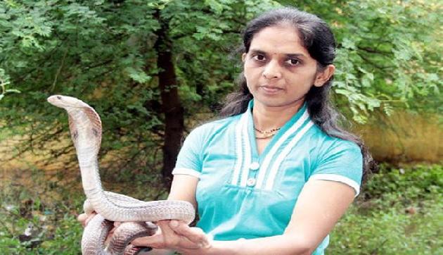 ये हैं 'स्नेक दीदी', अबतक पकड़ चुकी है 51,000 सांप!