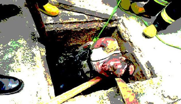 निर्ममता से हत्या कर शव को सेफ्टी टैंक में डाला निर्ममता से हत्या कर शव को सेफ्टी टैंक में डाला