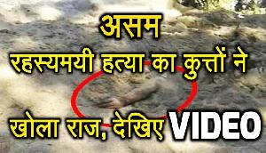 रहस्यमयी हत्या का कुत्तों ने खोला राज, देखिए वीडियो
