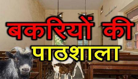 ये है अनोखा स्कूल, यहां बच्चों की जगह पढ़ती है बकरियां