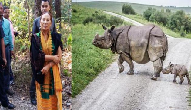 आेरंग पार्क में गैंडों की संख्या को लेकर वन मंत्री को संदेह, कहा- क्या पुरूष गैंडों ने भी दिया जन्म आेरंग पार्क में गैंडों की संख्या को लेकर वन मंत्री को संदेह, कहा- क्या पुरूष गैंडों ने भी दिया जन्म