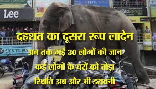 असम में लादेन का कहर, दहशत में लोग, अब तक ले चुका है कईयों की जान असम में लादेन का कहर, दहशत में लोग, अब तक ले चुका है कईयों की जान