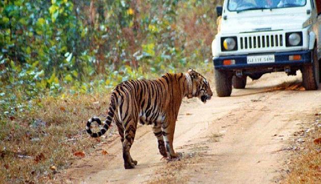 मानस नेशनल पार्क में हर पल लीजिए रोमांच का मजा,कमजोर दिल वालों का आना है मना मानस नेशनल पार्क में हर पल लीजिए रोमांच का मजा,कमजोर दिल वालों का आना है मना