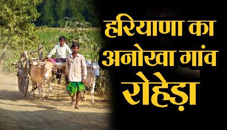 हरियाणा का अनोखा गांव, जहां दोस्त बनकर रहते हैं सांप, है रोचक कहानी हरियाणा का अनोखा गांव, जहां दोस्त बनकर रहते हैं सांप, है रोचक कहानी
