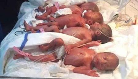 OMG: 25 साल की महिला ने दिया एक साथ 7 बच्चों को जन्म OMG: 25 साल की महिला ने दिया एक साथ 7 बच्चों को जन्म