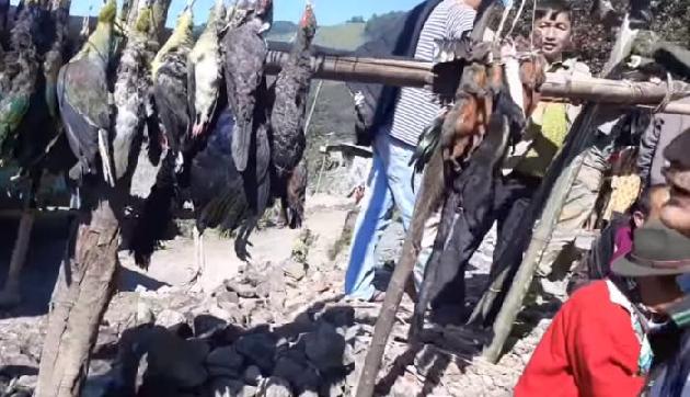 भारत के इस राज्य में खुलेआम किया जाता है जानवरों का शिकार, video वायरल भारत के इस राज्य में खुलेआम किया जाता है जानवरों का शिकार, video वायरल