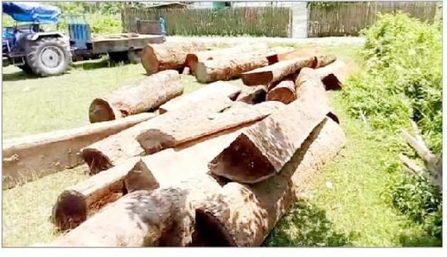 भाजपा राज्य में हो रहा है अवैध कारोबार, जनिए पूरी खबर भाजपा राज्य में हो रहा है अवैध कारोबार, जनिए पूरी खबर