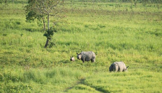 सेशन कोर्ट का लैंडमार्क फैसला, पांच लोगों को मिली सजा, जानिए पूरी खबर सेशन कोर्ट का लैंडमार्क फैसला, पांच लोगों को मिली सजा, जानिए पूरी खबर