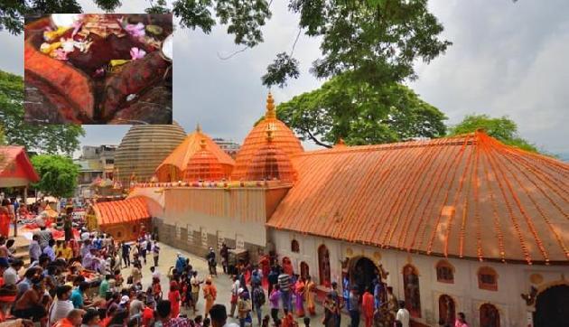 कामाख्या देवी मंदिर के पट खुले, प्रसाद में मिलता है खून से सना कपड़ा कामाख्या देवी मंदिर के पट खुले, प्रसाद में मिलता है खून से सना कपड़ा