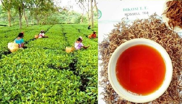 असम की स्पेशल चाय ने फिर बनाया रिकॉर्ड, 75000 रूपए प्रति किग्रा में बिकी असम की स्पेशल चाय ने फिर बनाया रिकॉर्ड, 75000 रूपए प्रति किग्रा में बिकी
