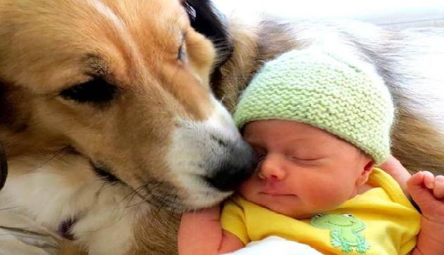 OMG: कुदरत को चुनौती, अब जानवर की कोख से पैदा होगा इंसान OMG: कुदरत को चुनौती, अब जानवर की कोख से पैदा होगा इंसान