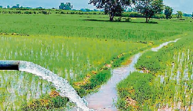 भाजपा सरकार ने पेश किया किसानों से संबंधित रिपोर्ट कार्ड, पढ़िए पूरी खबर भाजपा सरकार ने पेश किया किसानों से संबंधित रिपोर्ट कार्ड, पढ़िए पूरी खबर