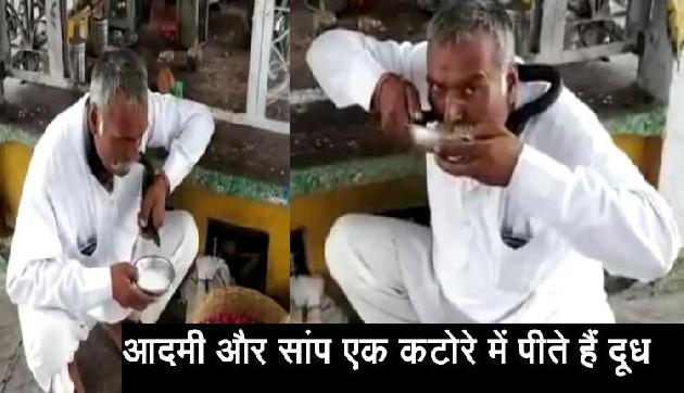 गजब! यह आदमी और सांप एक ही कटोरे में पीते हैं दूध, सच्चाई जानकर रह जाएंगे हैरान गजब! यह आदमी और सांप एक ही कटोरे में पीते हैं दूध, सच्चाई जानकर रह जाएंगे हैरान
