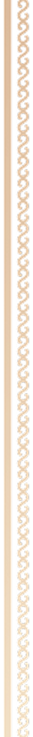 border left