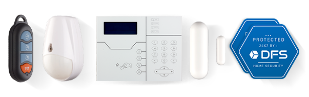 dfs-security-system