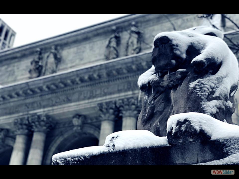 New York Public Library