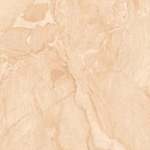 1054 (Glossy Porcelain Tiles)