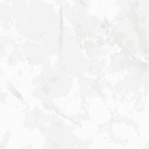 1059 (Glossy Porcelain Tiles)
