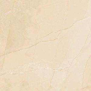 1095 (Glossy Porcelain Tiles)