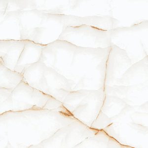 1137 (Glossy Porcelain Tiles)