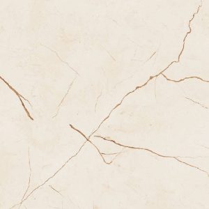 1141 (Glossy Porcelain Tiles)