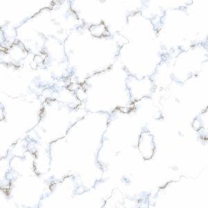 1143 (Glossy Porcelain Tiles)