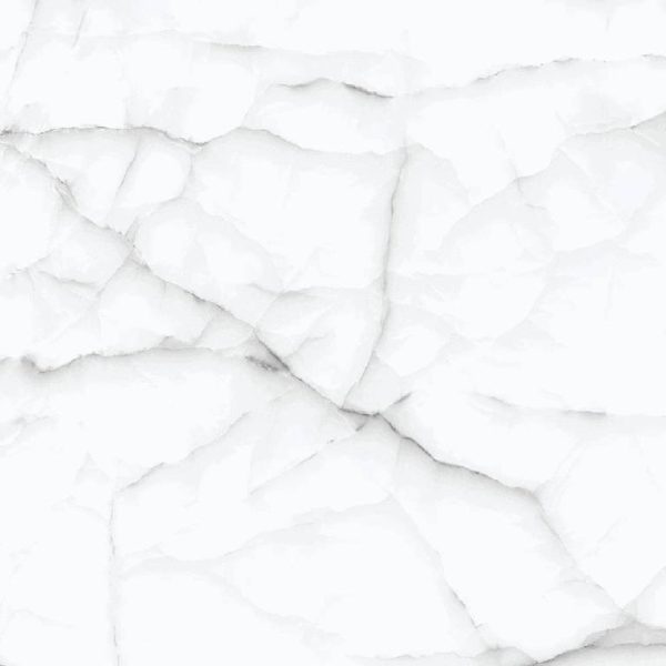 1153 (Glossy Porcelain Tiles)
