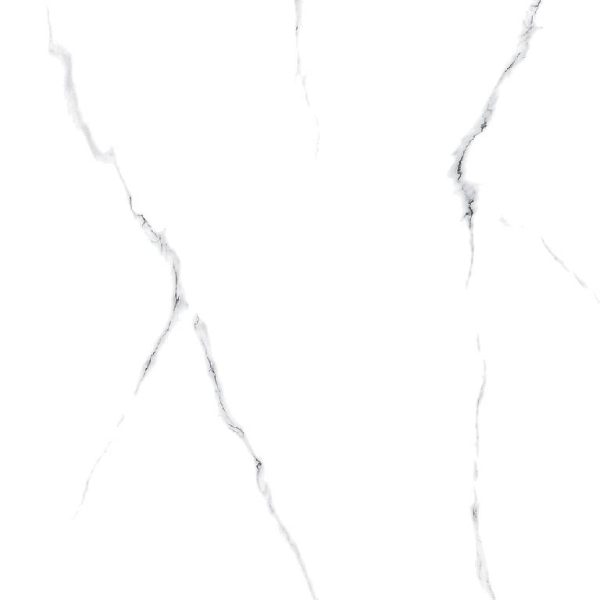 2003 (Statuario Porcelain Tiles)
