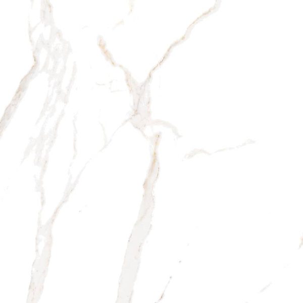 2004 (Statuario Porcelain Tiles) - Image 2