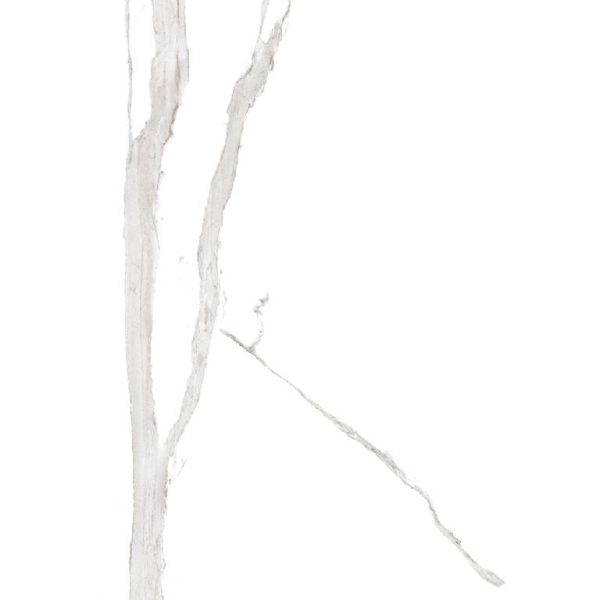 2005 (Statuario Porcelain Tiles) - Image 3