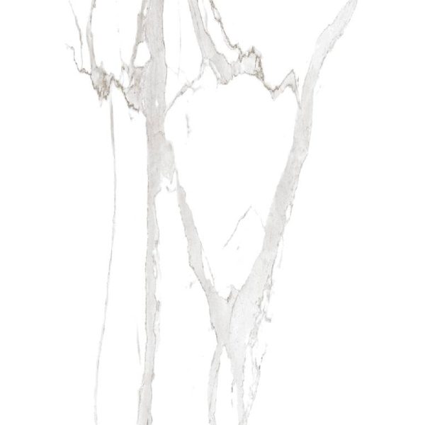 2005 (Statuario Porcelain Tiles) - Image 4
