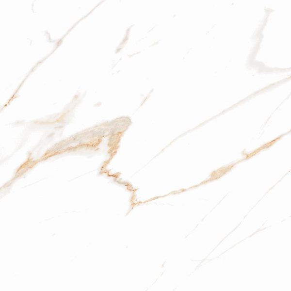 2006 (Statuario Porcelain Tiles) - Image 3