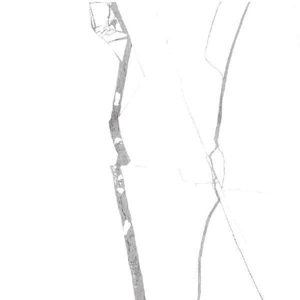2010 (Statuario Porcelain Tiles)