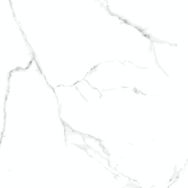 2026 (Statuario Porcelain Tiles)